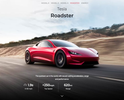 Tesla - Demo Site